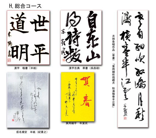 総合コース